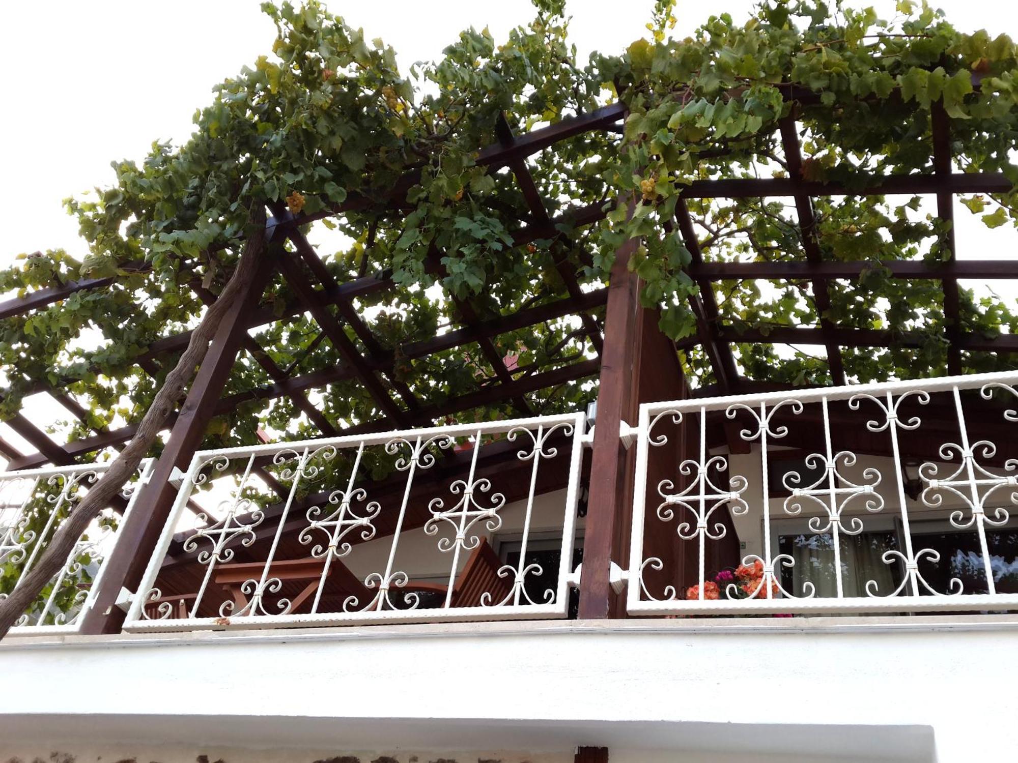Lemon Villa Hotel - Adult Only Alanya Exterior foto